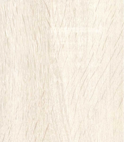 white oak rustic